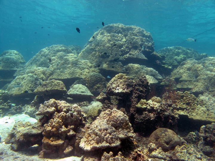 Diving @ Koh Haa Lagoon with Dive & Relax