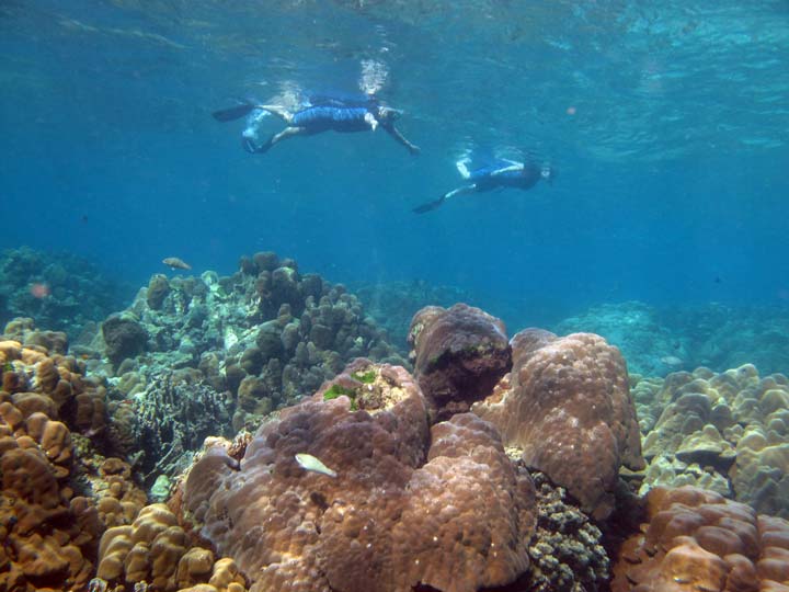 Snorkel @ Koh Rok with Dive & Relax